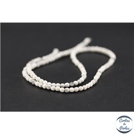 Perles facettées en howlite - Rondes/3mm