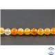 Perles en cornaline - Rondes/6mm - Grade AB+