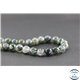 Perles en agate mousse - Rondes/10mm - Grade A+