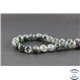 Perles en agate mousse - Rondes/10mm - Grade A+