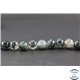 Perles en agate mousse - Rondes/10mm - Grade A+