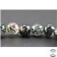 Perles en agate mousse - Rondes/10mm - Grade A+