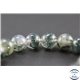 Perles en agate mousse - Rondes/10mm - Grade A+