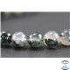 Perles en agate mousse - Rondes/10mm - Grade A+