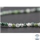 Perles en agate mousse - Rondes/8mm - Grade A+