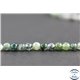 Perles en agate mousse - Rondes/8mm - Grade A+