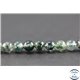 Perles en agate mousse - Rondes/6mm - Grade A+