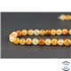 Perles en cornaline - Rondes/8mm - Grade AB+