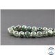 Perles en agate mousse - Rondes/8mm - Grade A+