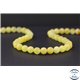 Perles en ambre laiteux de la Baltique - Rondes/8mm - Grade A