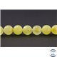 Perles en ambre laiteux de la Baltique - Rondes/8mm - Grade A